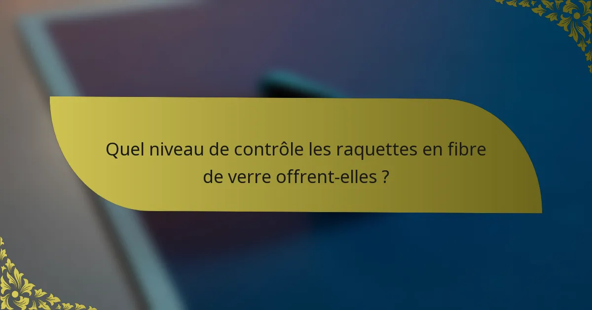 Quel niveau de contrôle les raquettes en fibre de verre offrent-elles ?