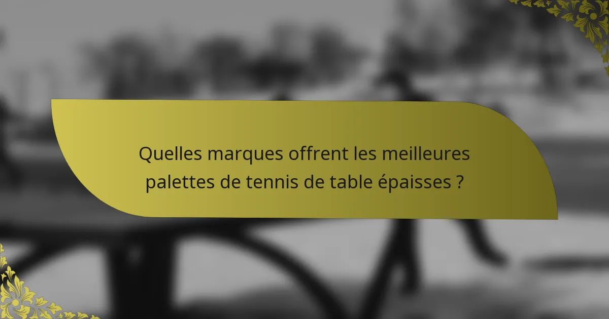 Quelles marques offrent les meilleures palettes de tennis de table épaisses ?