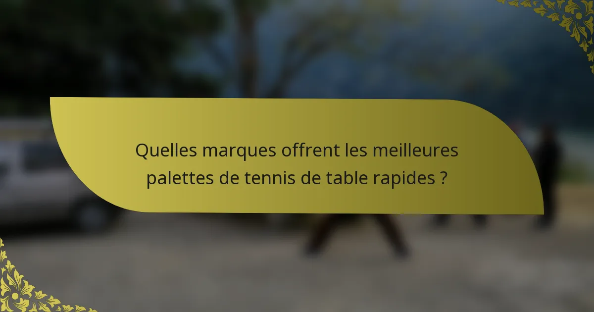 Quelles marques offrent les meilleures palettes de tennis de table rapides ?